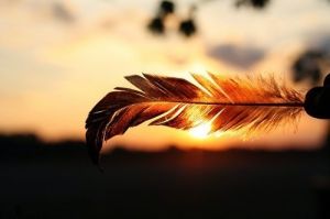feathers beauty - Pictures of feathers - inspiration from nature - luscious blog.jpg